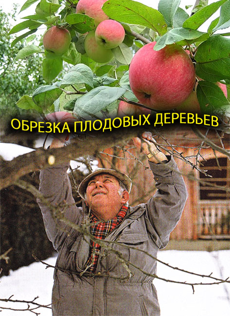 Обрезка плодовых деревьев (2009) DVDRip